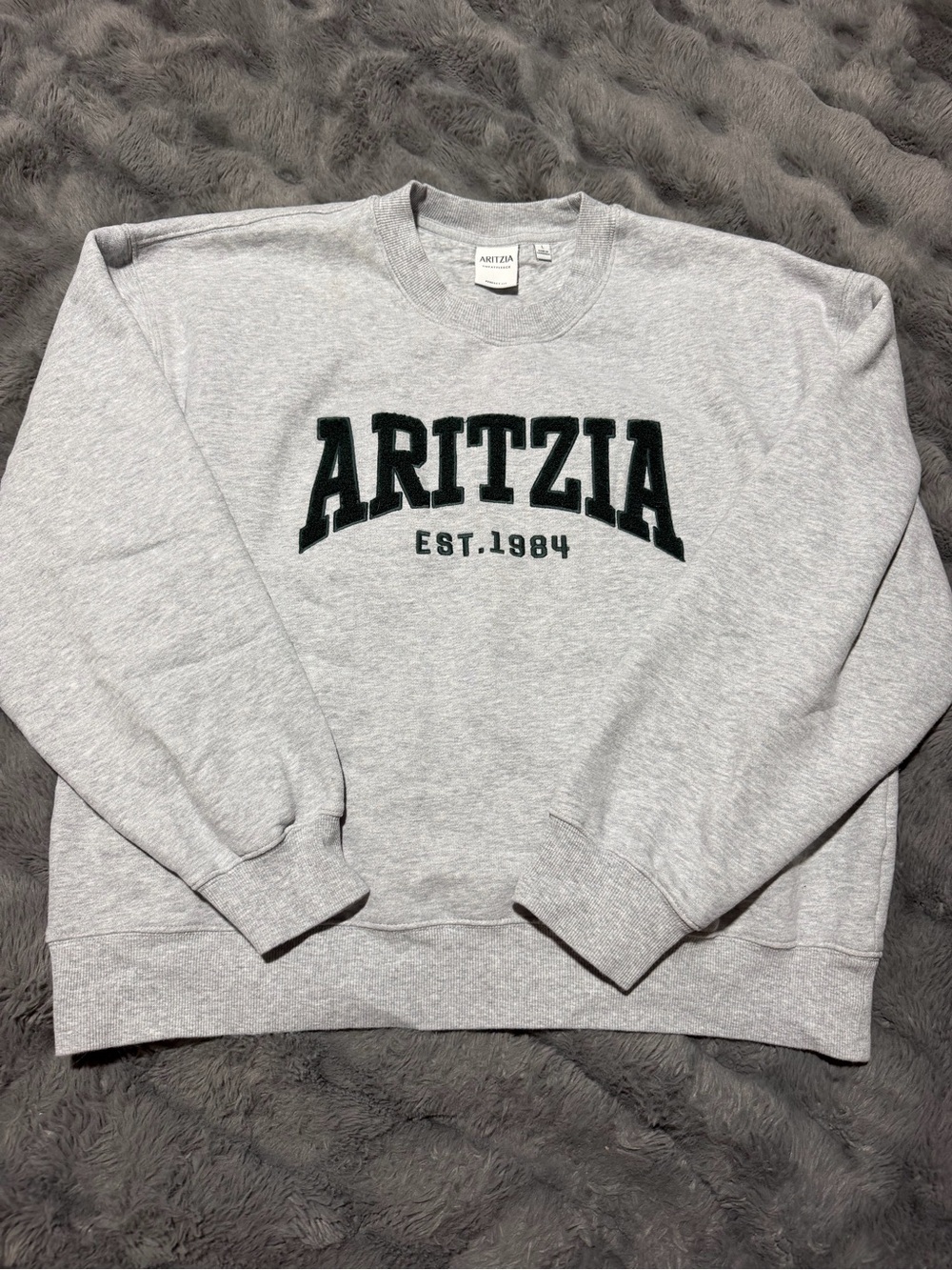 Aritzia Sweat Fleece Crewneck